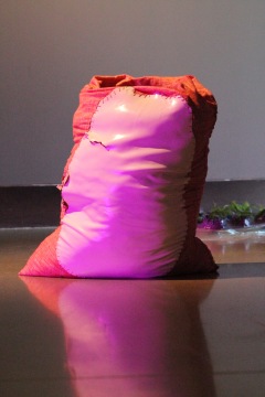 Medium: poured latex-enamel paint, yarn thread, fabric, bags of top soil, sprouting potato, cellophane, water