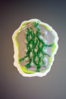 Medium: Poured latex-enamel paint, "sushi" grass, cardboard apple trays